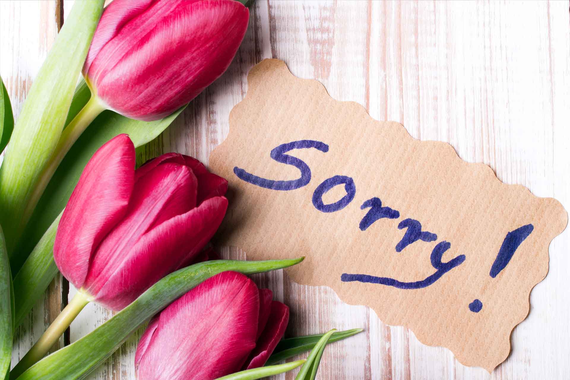 My Bad: The Misunderstood Apology