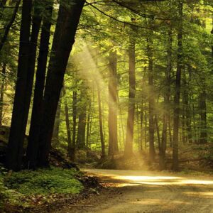 Our Approach to Counseling