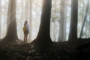Shrinking When Life Feels... Smaller