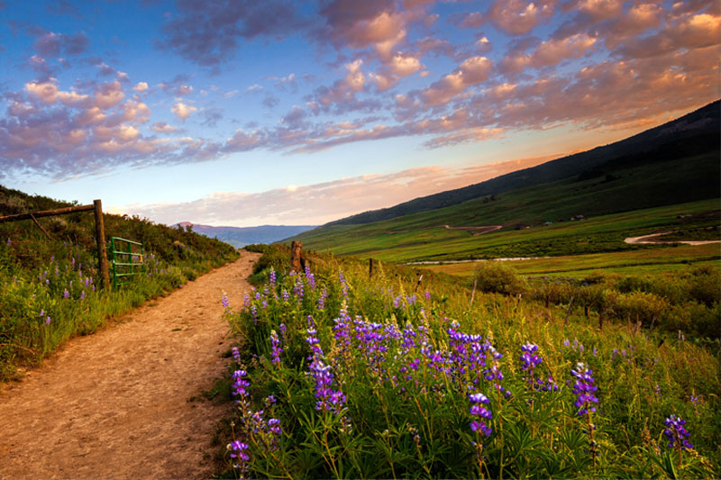 The Path of Emotion®