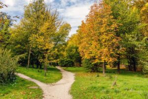 Growing apart in marriage